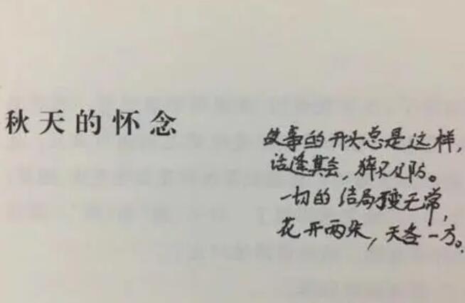 史铁生经典语录文案