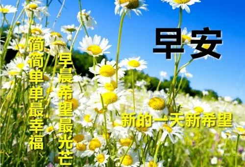 早上问候语简短加图片