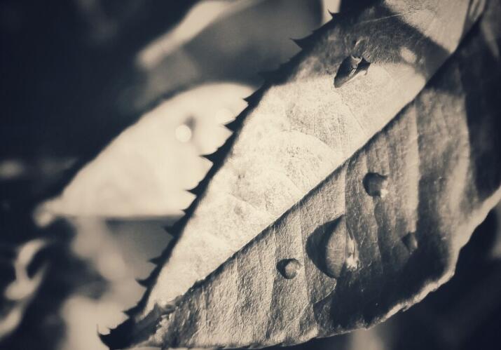 怎么做都是错的经典语录文案