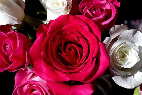 2024经典伤心语录文案