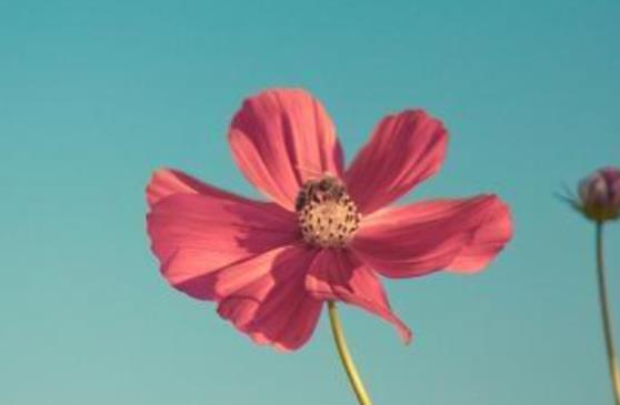 日常高情商早安问候