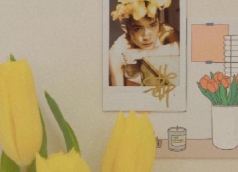 伤了女朋友求原谅的话