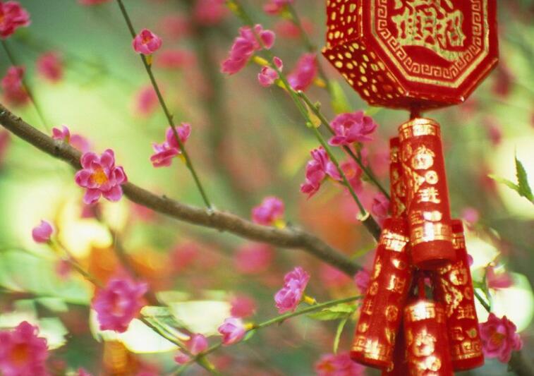 写出新年的景色句子文案