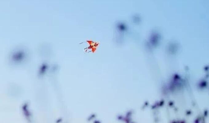 社会现实十字语录文案