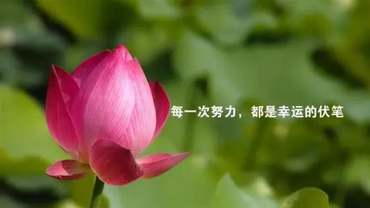 介绍学校的句子文案简短