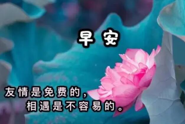 周一给客户发的短信