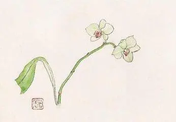 心如死灰绝望的诗句文案