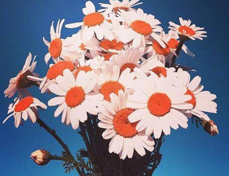 励志语录文案早安心语