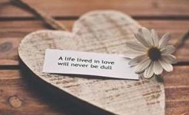 2024年最火的的句子文案爱情