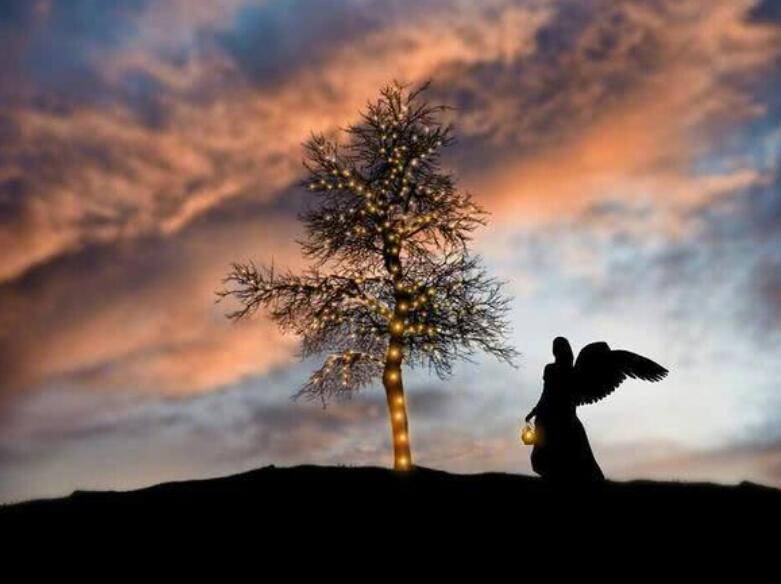 高情商短句幽默晚上发的