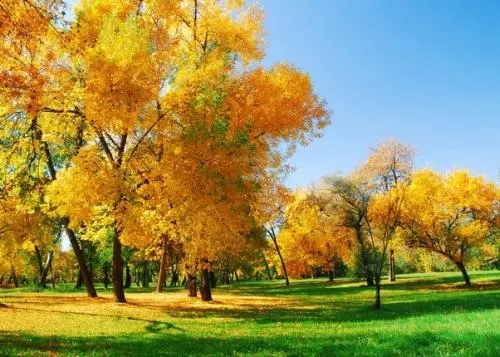 关于秋天的诗名