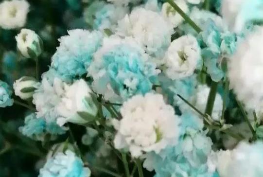 表达心情处于崩溃状态的句子文案