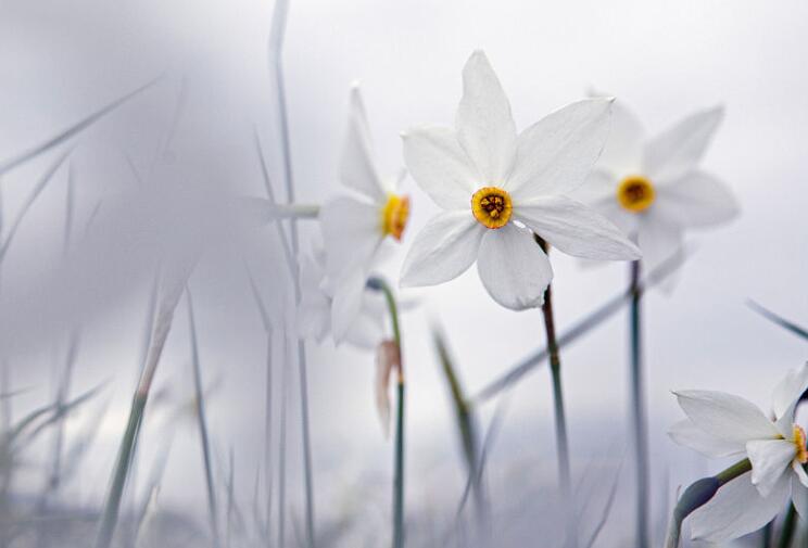 积累的经典语录文案