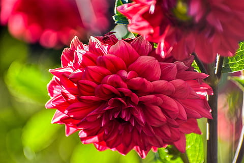 写给病人正能量的话