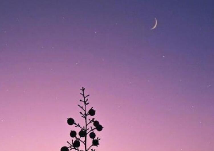 走好人生路的经典名言