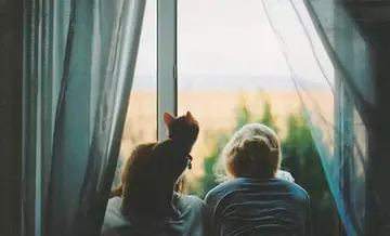 讽刺不地道之人的句子文案