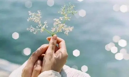 做最好的自己唯美句子文案