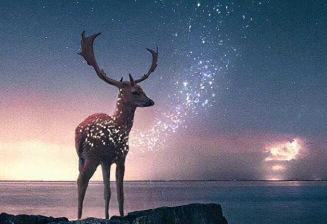 朋友圈最励志的句子文案