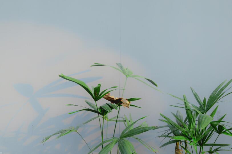 温柔安静的唯美句子文案