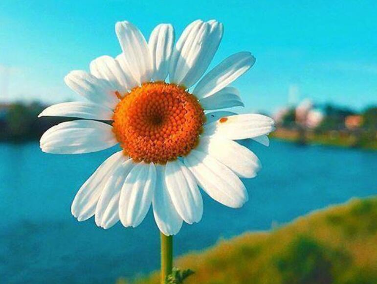 励志早安语录文案正能量语句