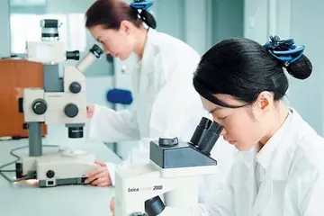 认真工作句子文案简短