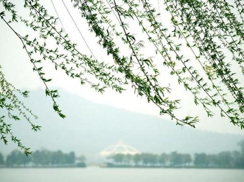 春风十里的诗词