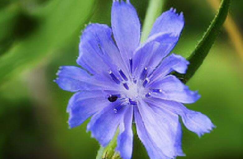有内涵的经典励志句子文案