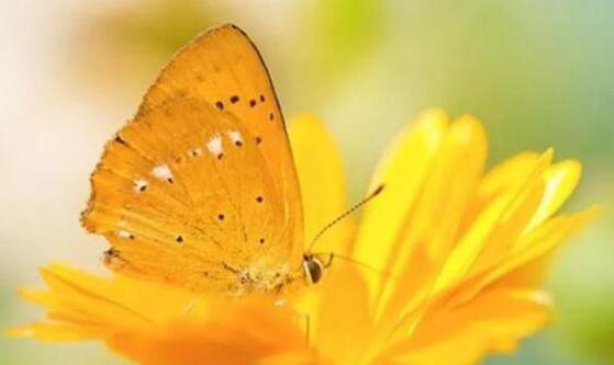 人生正能量的经典短句