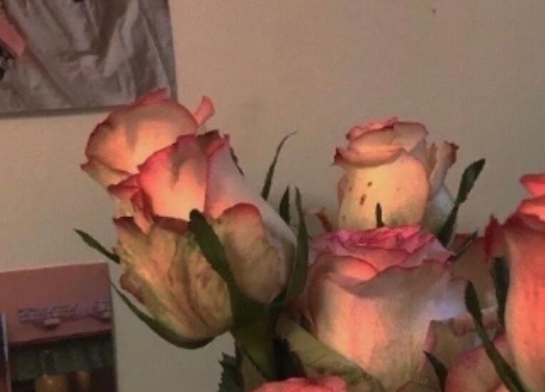 积极向上的简短句子文案