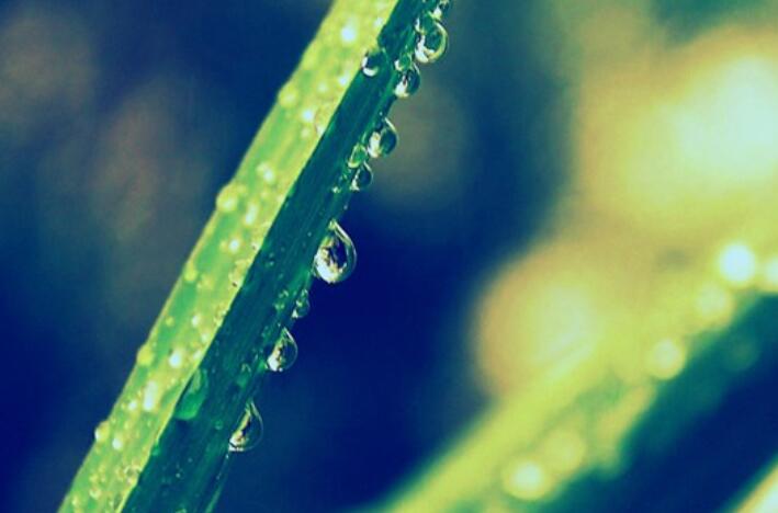 生活中的小细节句子文案