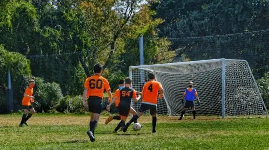 关于对足球爱好的一段话90字