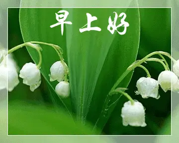 早上好的祝福语图片全部