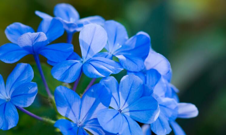 早上哲理句子文案唯美简短