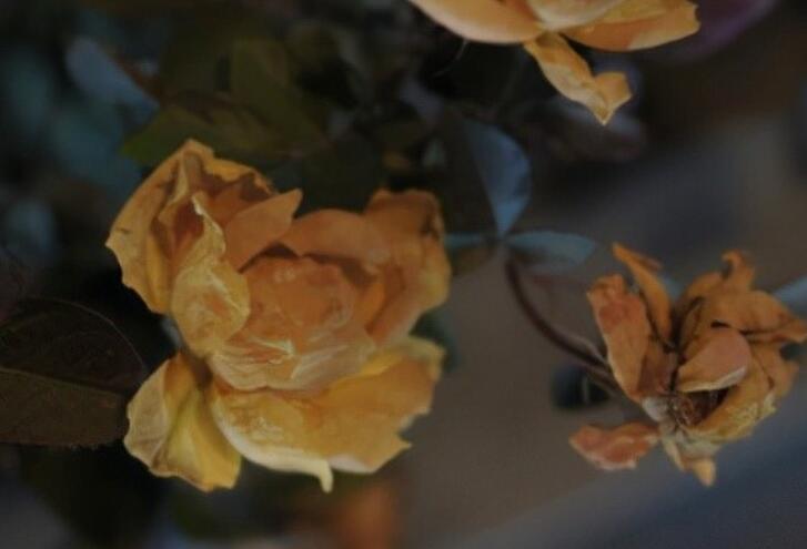 公开男朋友的朋友圈说说文案