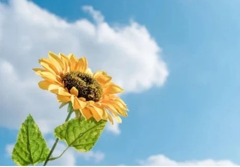 励志又揪心的句子文案