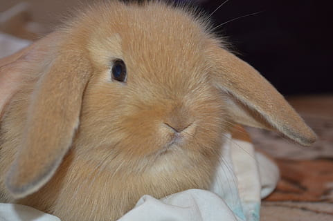 微商早安心语励志图片