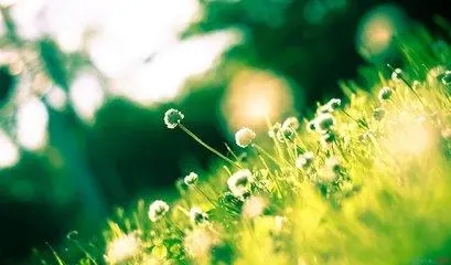 短句深意励志签名