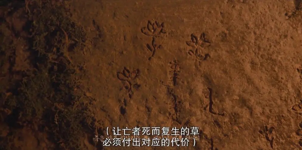 死而复生的句子文案怎么说