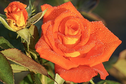 最打动人心的祝福语朋友