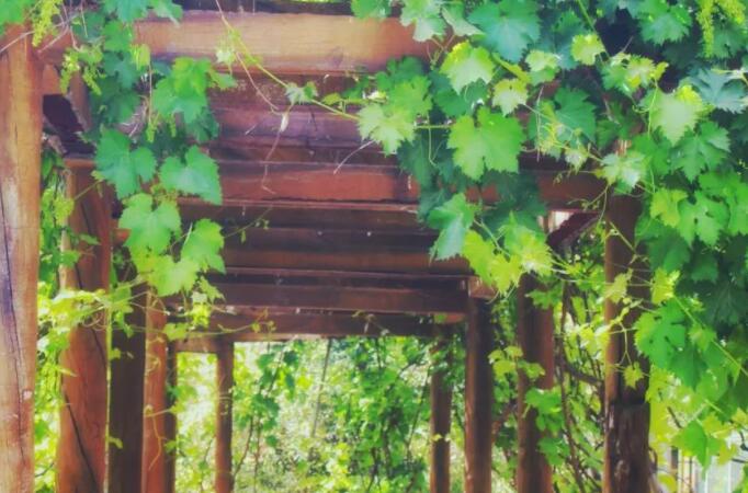 关于古诗词的好词好句文案