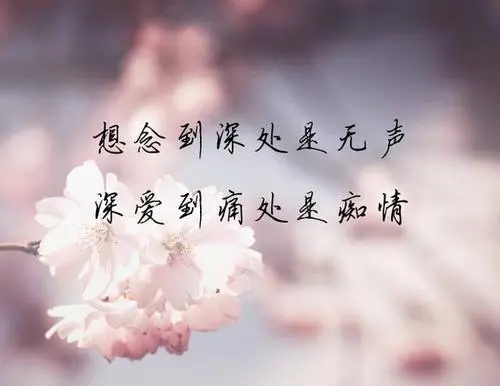 想念却不敢打扰的句子文案