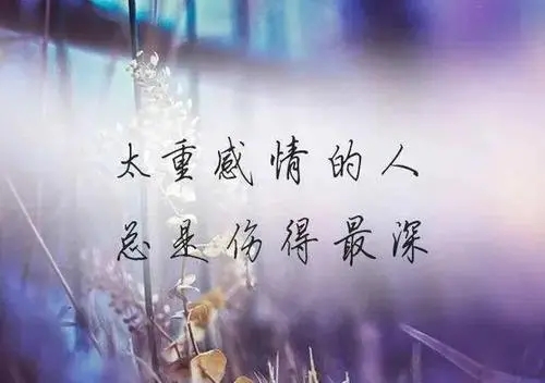 送给自己感情受伤的话