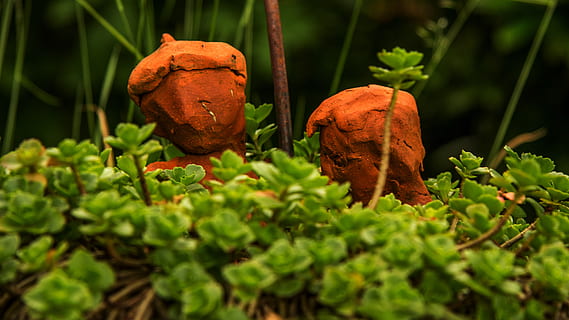 英文文案表白的短句