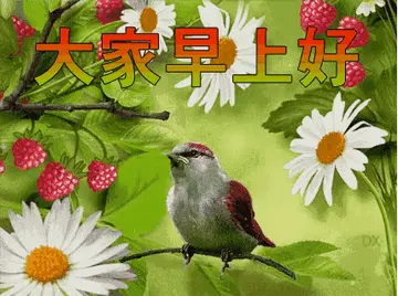 中国最漂亮早安问候语