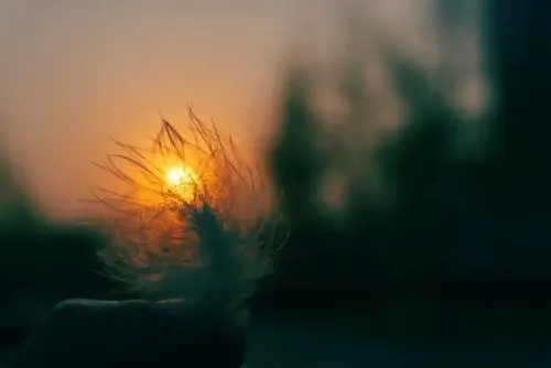 思念入骨的诗句文案