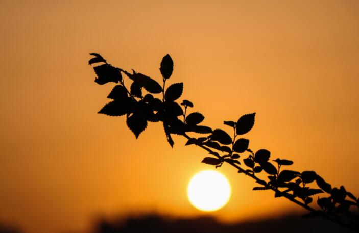 富有文采的美句