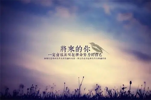 为了梦想而奋斗的诗句文案