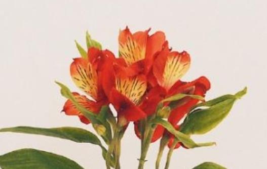 2021时间的朋友经典语录文案