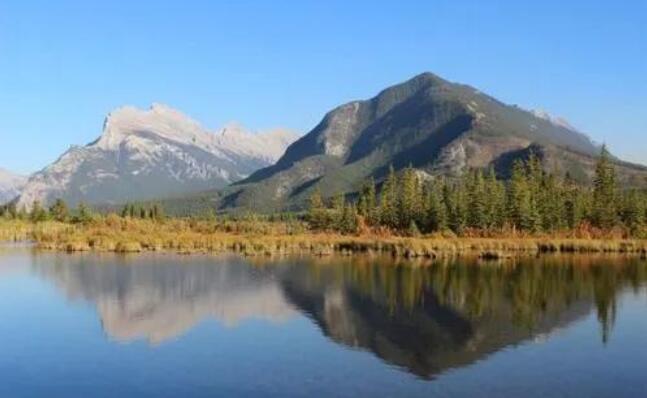 沉的住气的经典语录文案