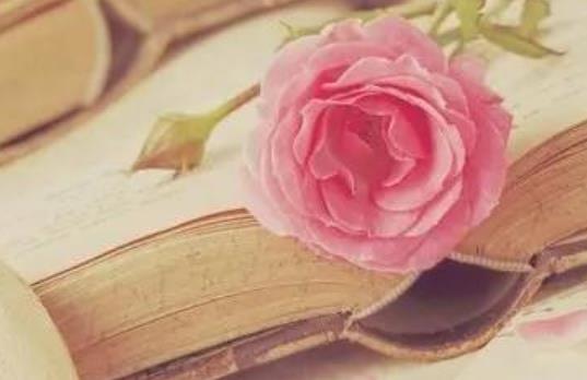 打动人心爱情句子文案